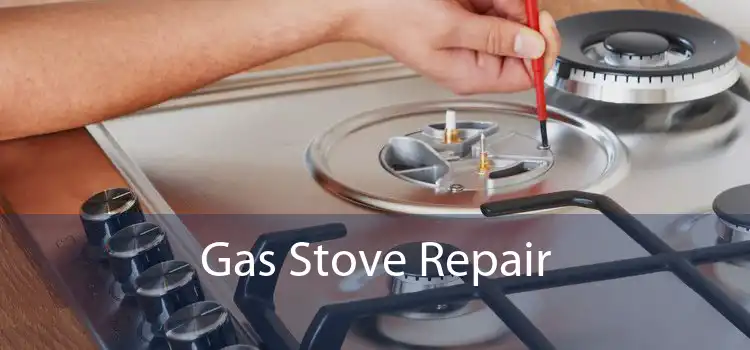 Gas Stove Repair